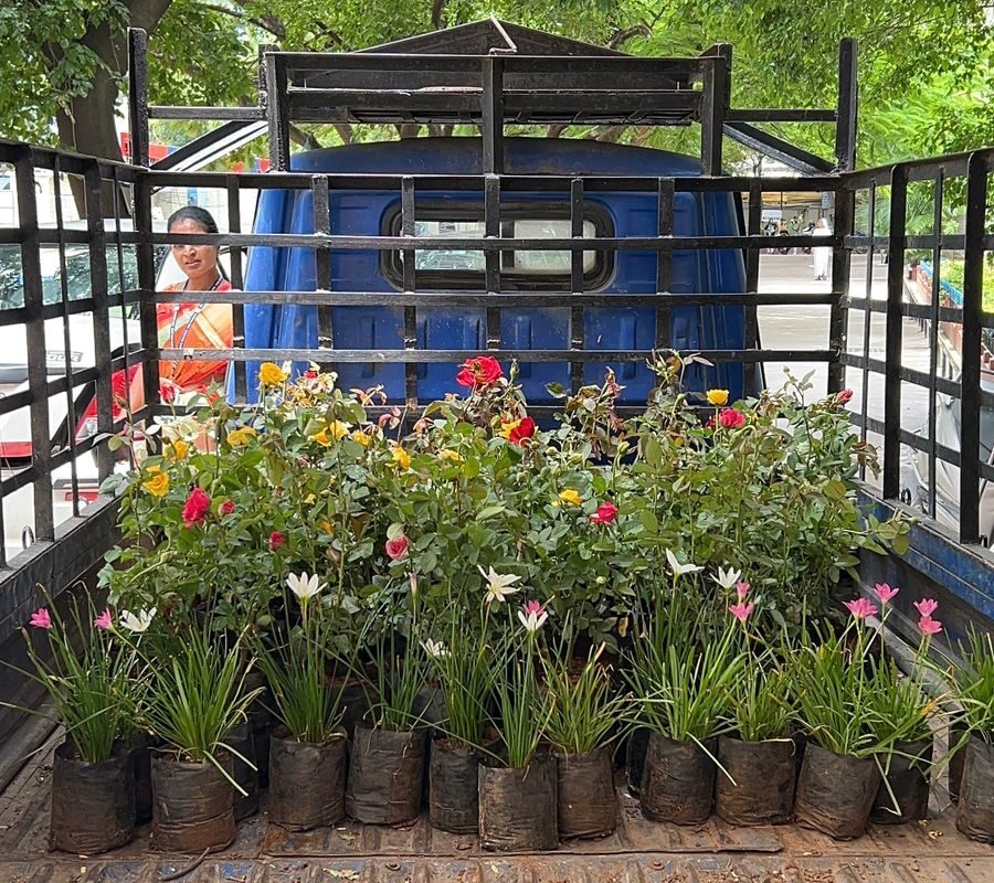 IMG_2261 - Syeda Hafsa Hussain