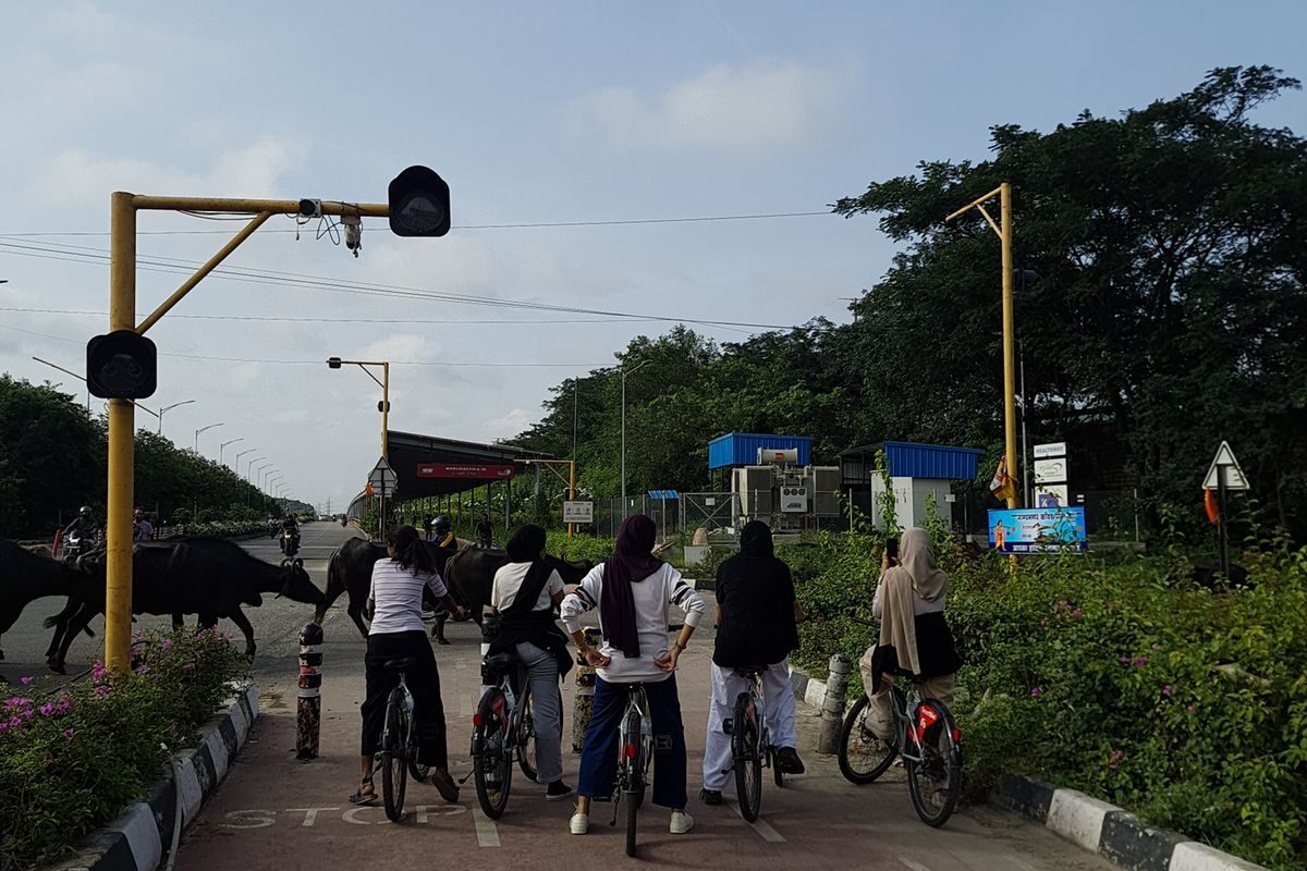 IMG_2272 - Syeda Hafsa Hussain