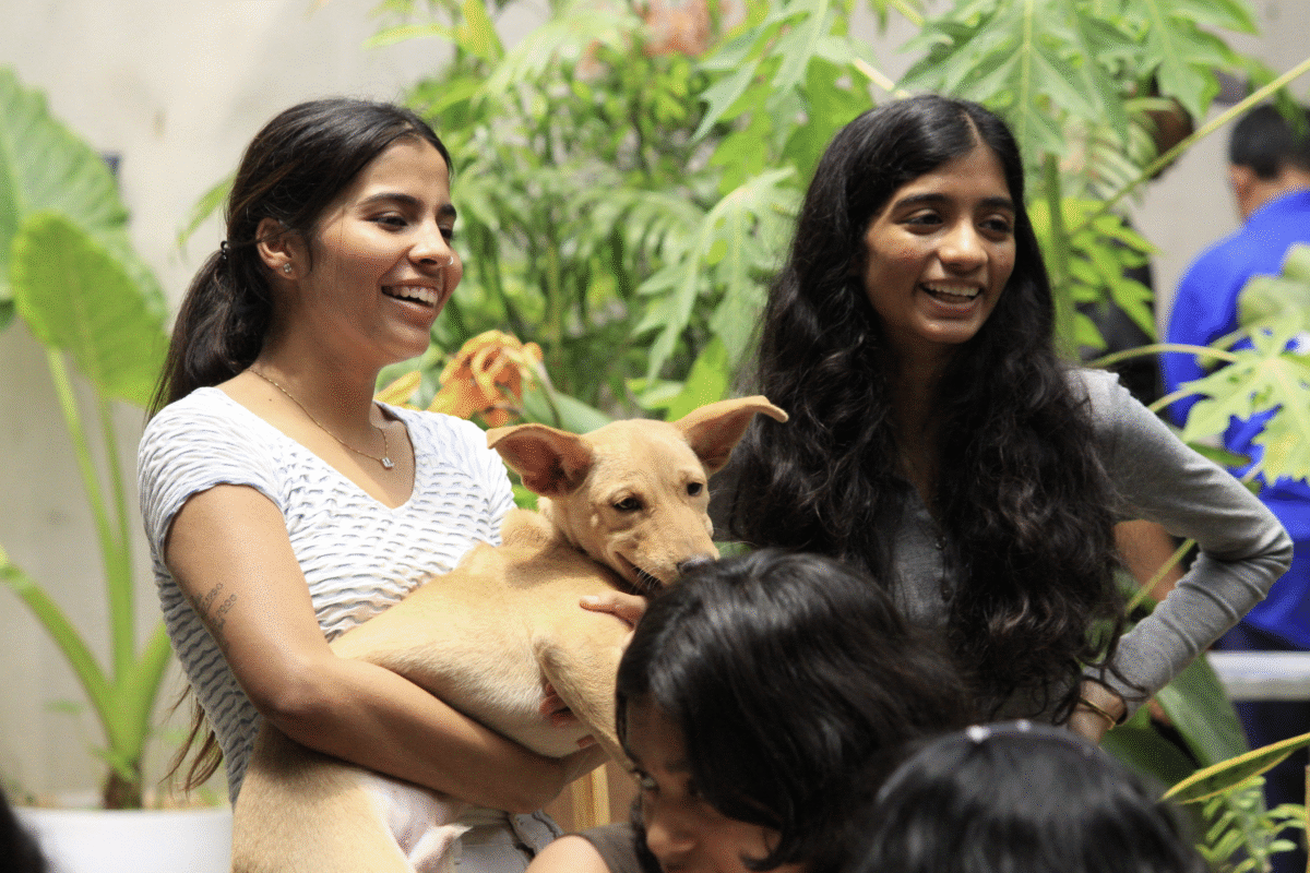 RCMU AP 3.1 - Kaushal Talluri